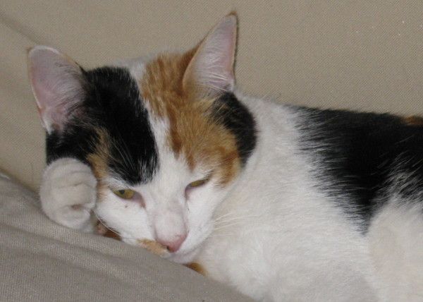 Bienvenue chez Marie